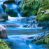 Blau